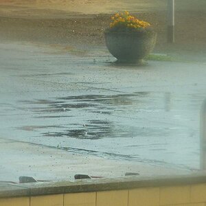 August 2010 / rainy days