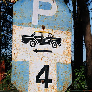 DSC 5259 klein