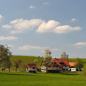 D03 7688