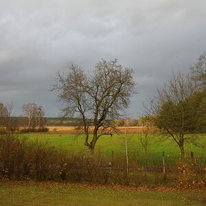 Compb 1Herbst