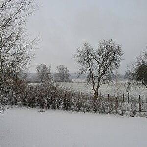 Compb 1Winter