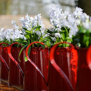 DOFFrühling 1