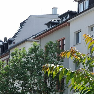 DSC 6231 crop