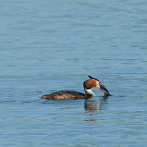 20110410 25413 [NIKON D2Xs] 490 mm,1 320 Sek. bei ƒ   8,0