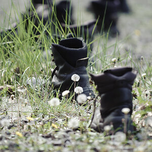 20110422 8051 [NIKON D3] 200 mm,1 800 Sek. bei ƒ   2,8