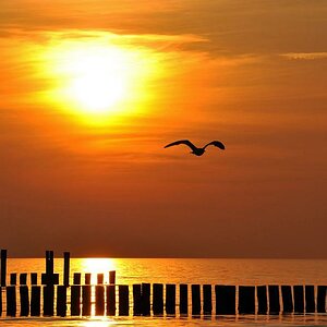 am Strand von Zingst - -Sonnenuntergang Mai 2011