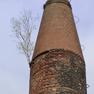 Ein Baum in Wuppertal