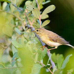 20110521 2523 [NIKON D5100] 500 mm,1 250 Sek. bei ƒ   8,0