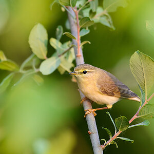 20110521 2540 [NIKON D5100] 500 mm,1 250 Sek. bei ƒ   8,0