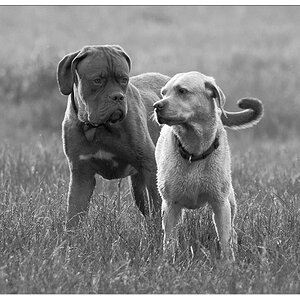 2 im Gegenlicht