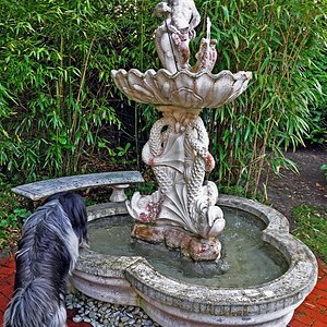 Brunnen