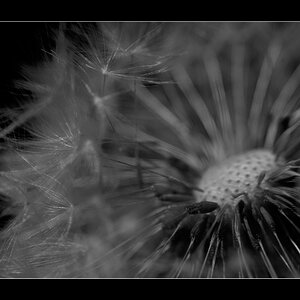 AbflugDSC 0063