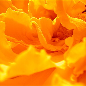 Rausch der Farbe
Nikon Coolpix E990