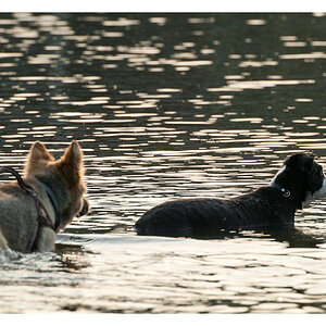 ein Abend im See