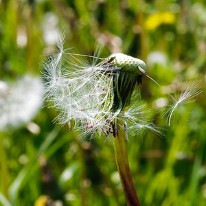 2011 05 05 12 11 06 1