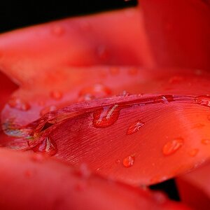 Compressed 0265