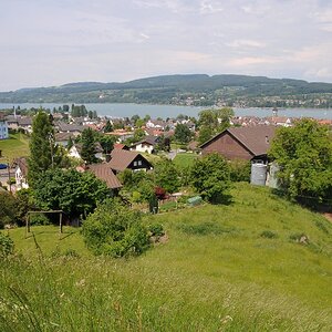 steckborn mai