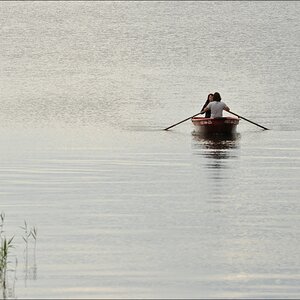 Homeward bound 1