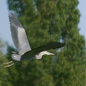 20110506 DSC 8268
