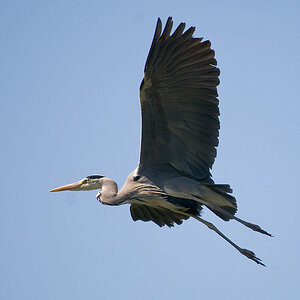 20110506 DSC 8226