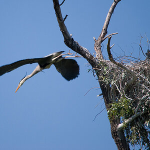 20110506 DSC 8168