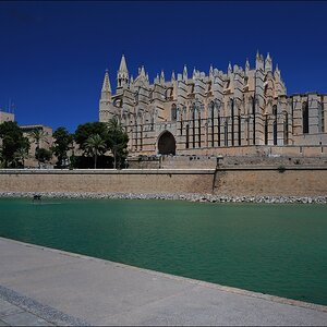 La Seu Palma