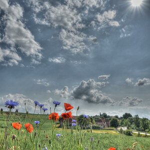 HDR1