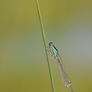 DSC 8370