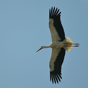 aacomp DSC 6846 1238