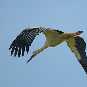 aacomp DSC 6900 1292