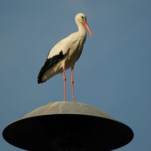 aacomp DSC 6999 1389