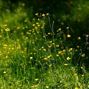 DSC 6473pb