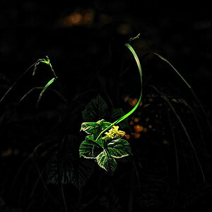 DSC 6477pb