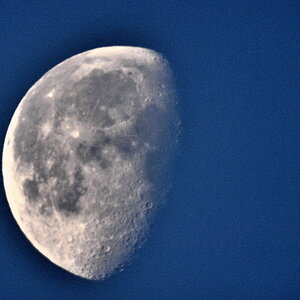 DSC0018j