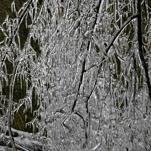 Bild 010