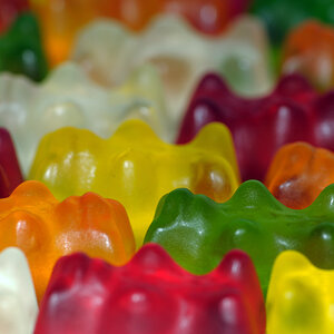 Gummibären
