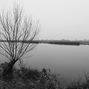 Saale