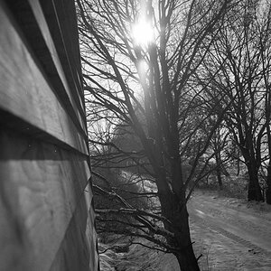M7 35mm07K100Tmax