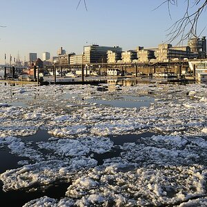 Hafen 195 ShiftN