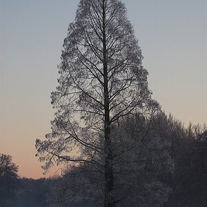 Solitär