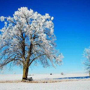 Erstarrte Landschaft