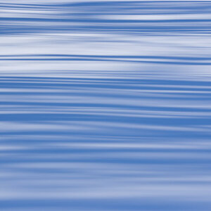 Panning: Schneefeld & Baumschatten