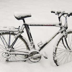 Winter Velo