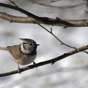 DSC 0127