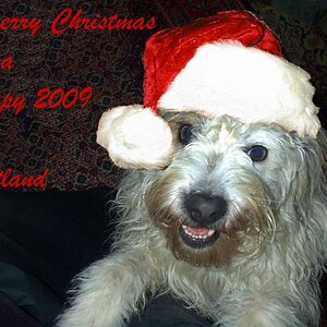 weihnachten2008