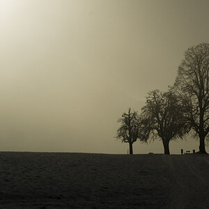 Weite Winterlandschaft 2009