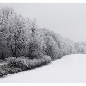 Winter BY DENNIS S