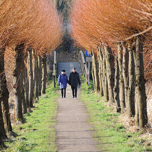 allee 1a