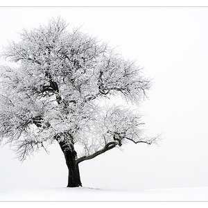 Winterzauber1