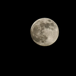 D300 mit Ai-S 600/4